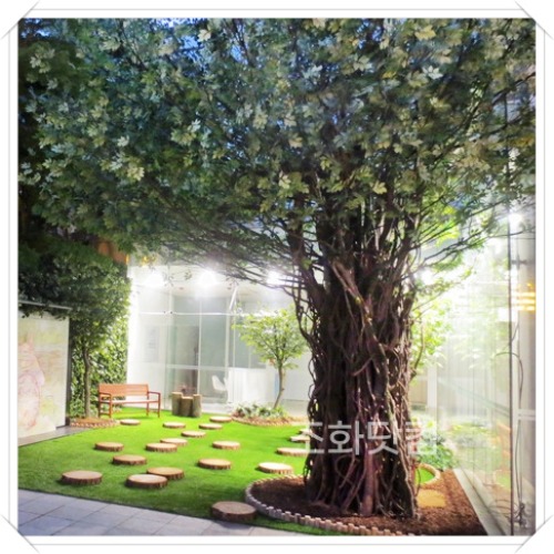 예술의전당-대형느티나무 &amp; 정원