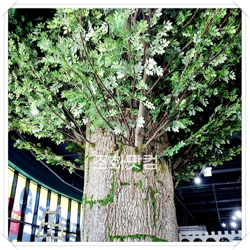 점핑몬스터 청주방서점 - 대형굴피나무