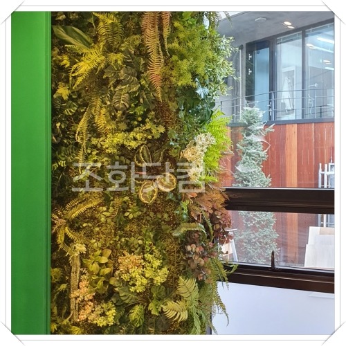 강남 명품멀티샾 - 느티나무, 벽면녹화