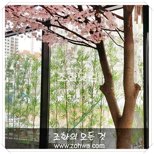 진천 스시이찌방 - 벚꽃나무,대나무