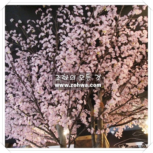 인천 닭권브이치킨 - 벚꽃나무