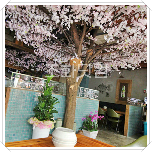 서초동 미카쿠 - 벚꽃나무