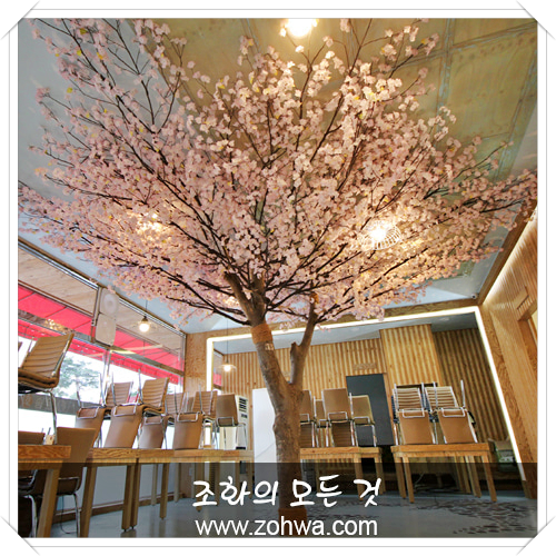 용인 윤송회센터 - 벚꽃나무