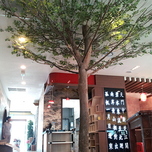 차이나레스토랑 -  느티나무